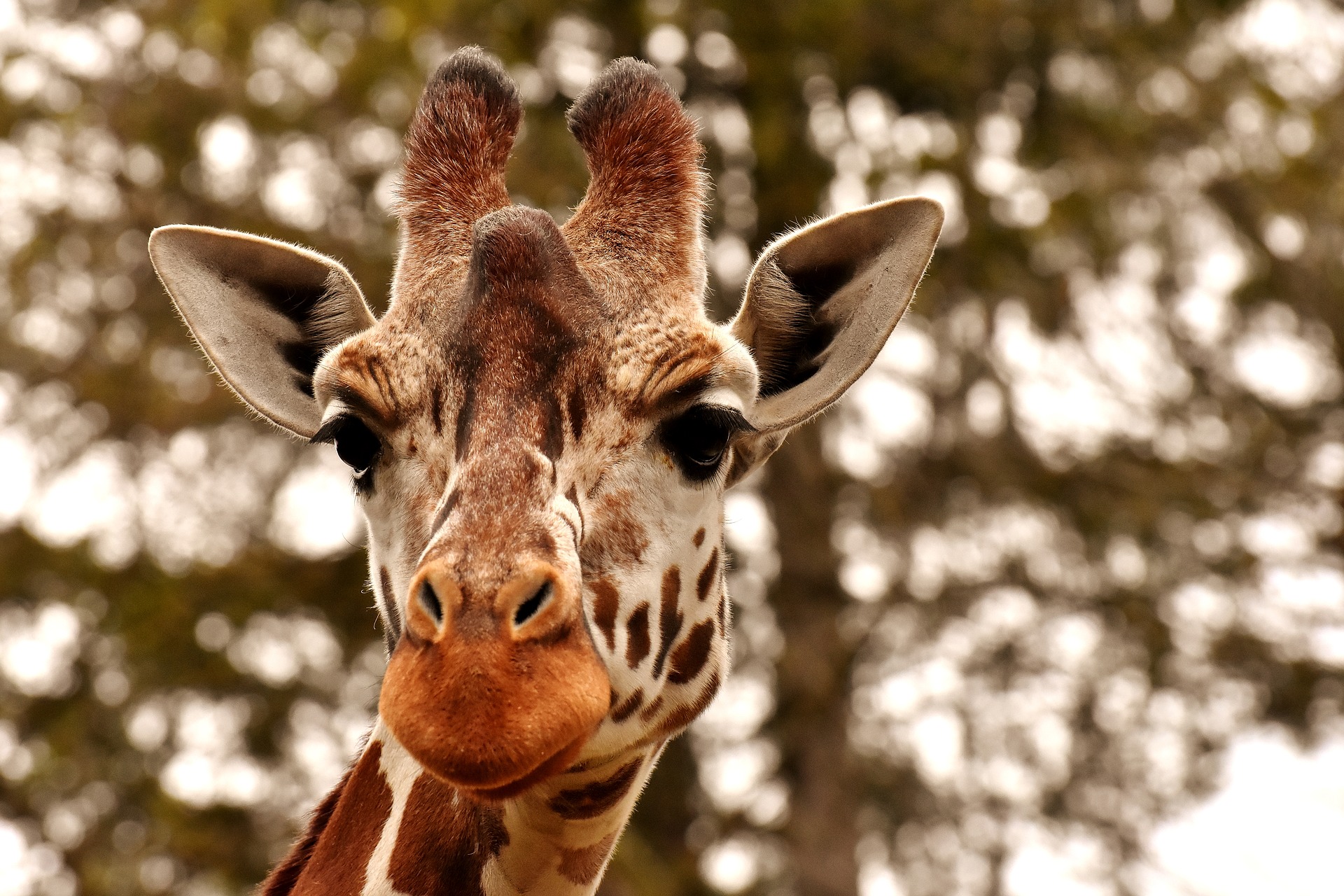 Zoos und Tierparks öffnen wieder